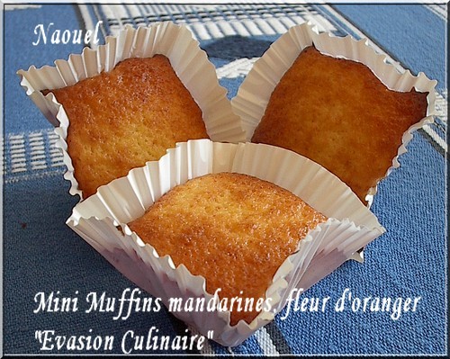 muffins_mandarine