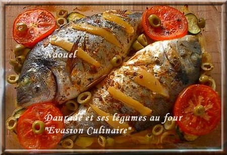 daurade_four1