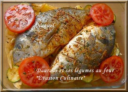 daurade_four